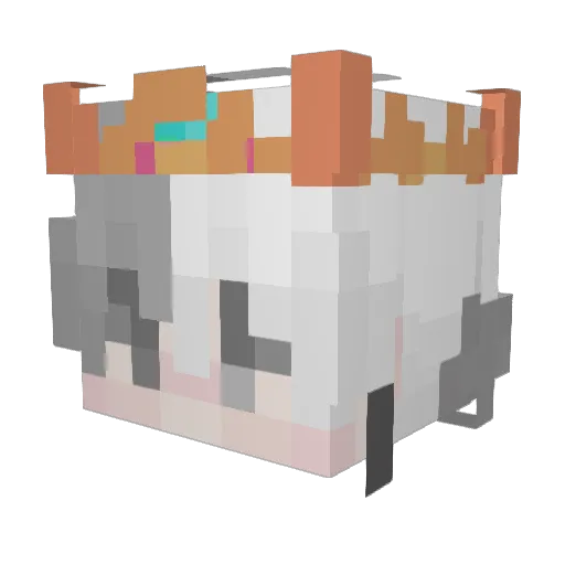 exSimplyBedwars Minecraft avatar head, 3D render