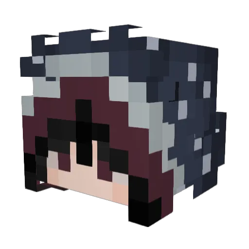 exactlywren Minecraft avatar head, 3D render