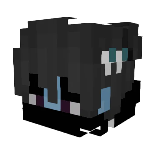 exalted83 Minecraft avatar head, 3D render