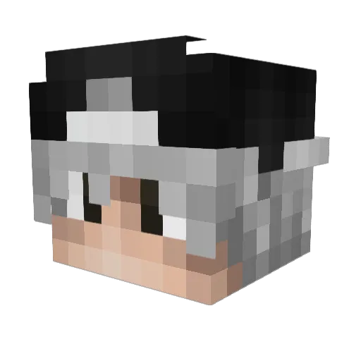 exalted_boi Minecraft avatar head, 3D render