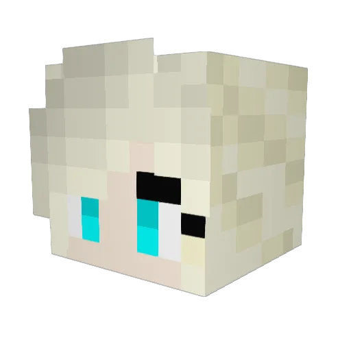 excelsior88 Minecraft avatar head, 3D render