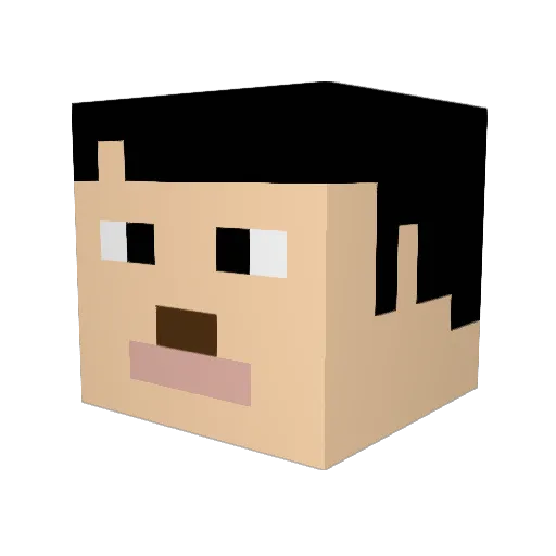 excusably Minecraft avatar head, 3D render