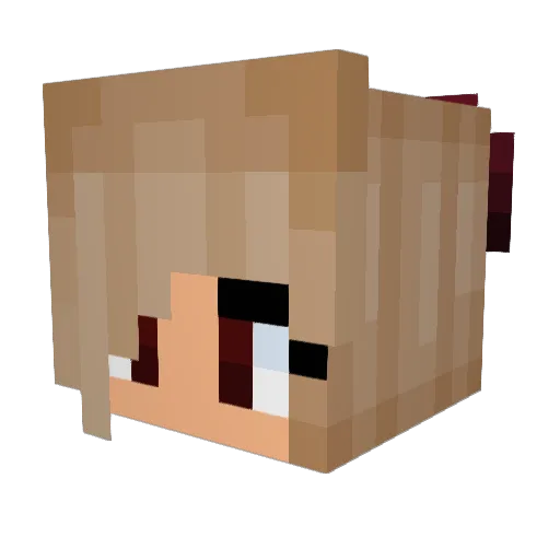 excuse_me1 Minecraft avatar head, 3D render