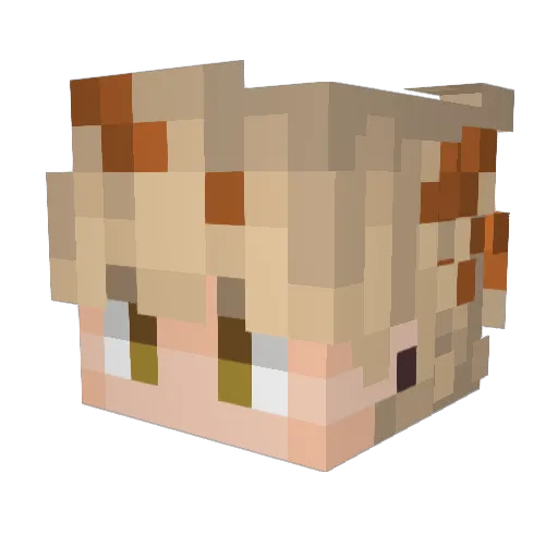 excuse_meows49 Minecraft avatar head, 3D render