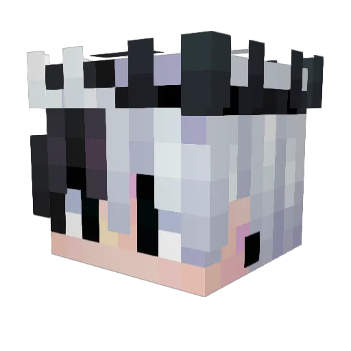 exeBonez Minecraft avatar head, 3D render