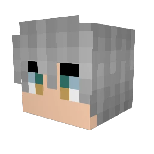 exec0321 Minecraft avatar head, 3D render
