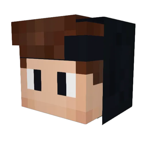 exel343 Minecraft avatar head, 3D render