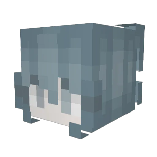 exetur Minecraft avatar head, 3D render
