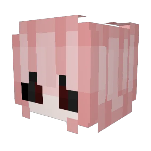 exhuberation Minecraft avatar head, 3D render