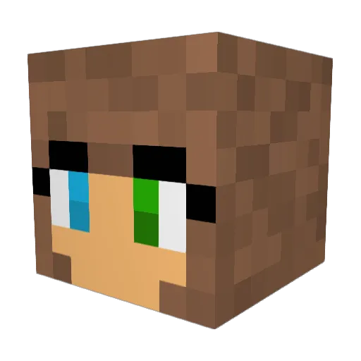 exi1 Minecraft avatar head, 3D render