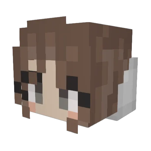 exillier Minecraft avatar head, 3D render