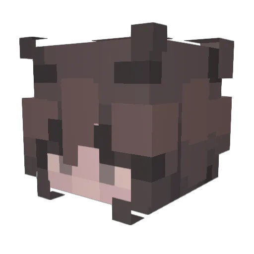 exivl Minecraft avatar head, 3D render