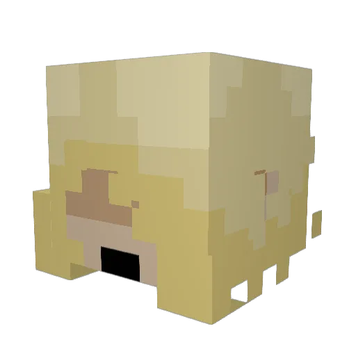 exoisreallycool Minecraft avatar head, 3D render