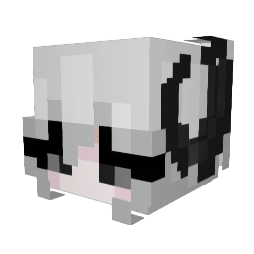 exoladus Minecraft avatar head, 3D render
