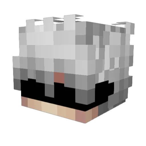 exoo6 Minecraft avatar head, 3D render