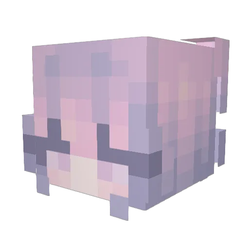 exorc1 Minecraft avatar head, 3D render