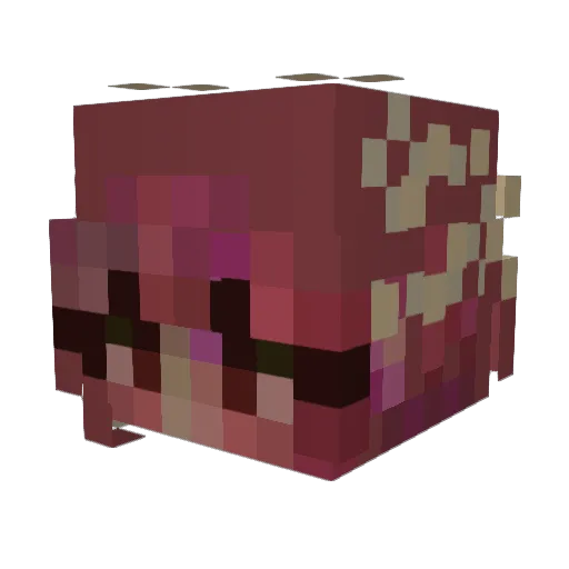 exorelle Minecraft avatar head, 3D render