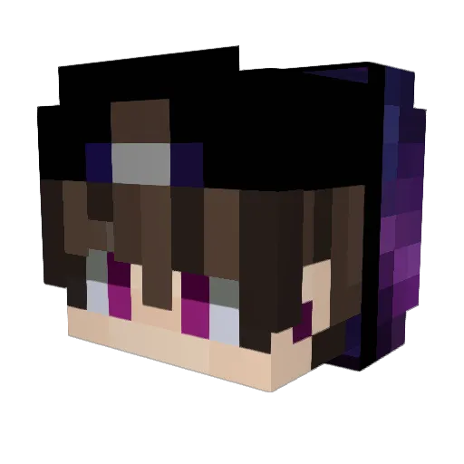 exotic_zach Minecraft avatar head, 3D render