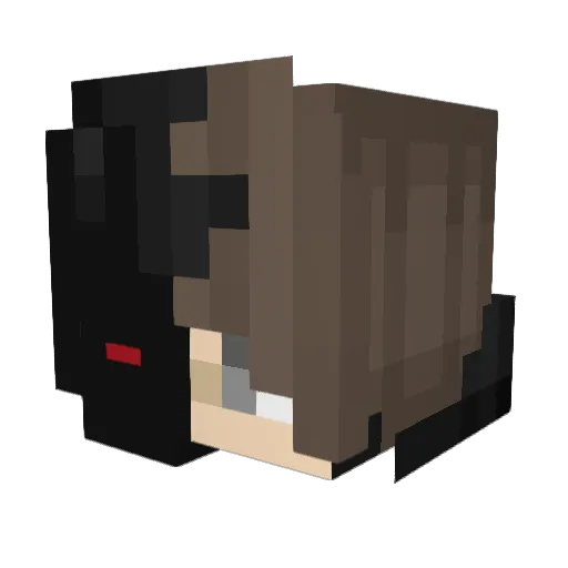 expe13 Minecraft avatar head, 3D render