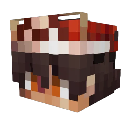 experience66 Minecraft avatar head, 3D render