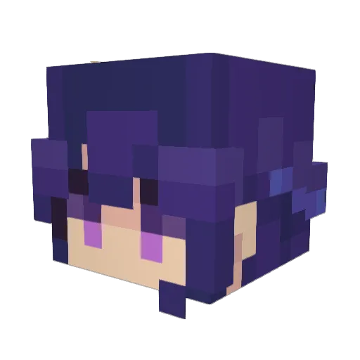 expertspy Minecraft avatar head, 3D render