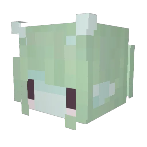 expiredfitta Minecraft avatar head, 3D render