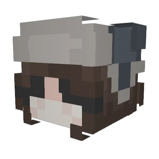 expiredluv Minecraft avatar head, 3D render