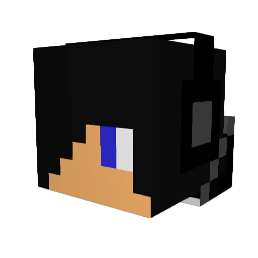 explorer_317 Minecraft avatar head, 3D render