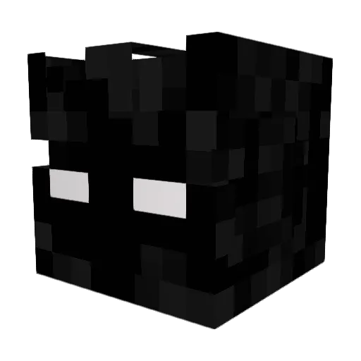 expressbird8594 Minecraft avatar head, 3D render