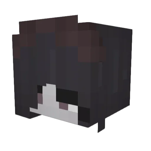 expurges Minecraft avatar head, 3D render