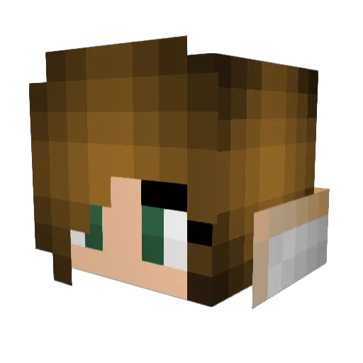 expvnsion Minecraft avatar head, 3D render