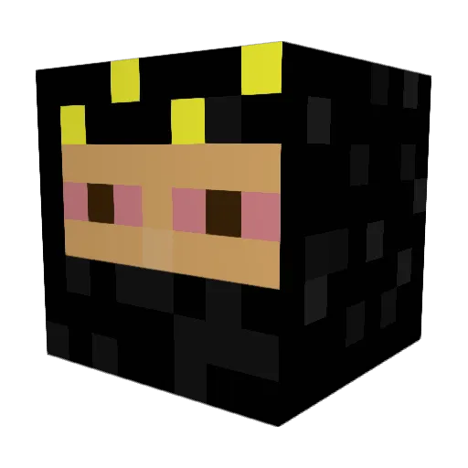 extendo24 Minecraft avatar head, 3D render