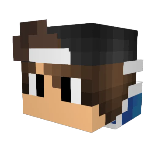 extincttttttt Minecraft avatar head, 3D render