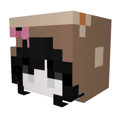 extorsionista Minecraft avatar head, 3D render