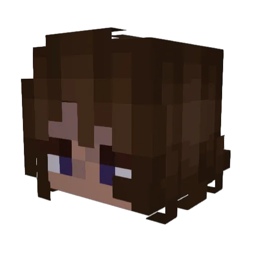extra1214 Minecraft avatar head, 3D render