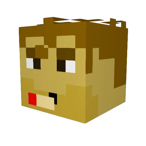 extrafox45 Minecraft avatar head, 3D render