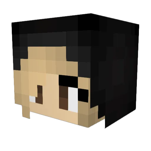 extremschwul Minecraft avatar head, 3D render