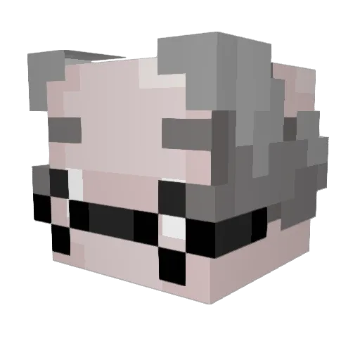 exuviaes Minecraft avatar head, 3D render