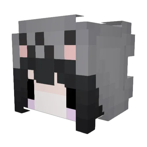 exv0ud Minecraft avatar head, 3D render