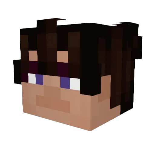 exvercy Minecraft avatar head, 3D render
