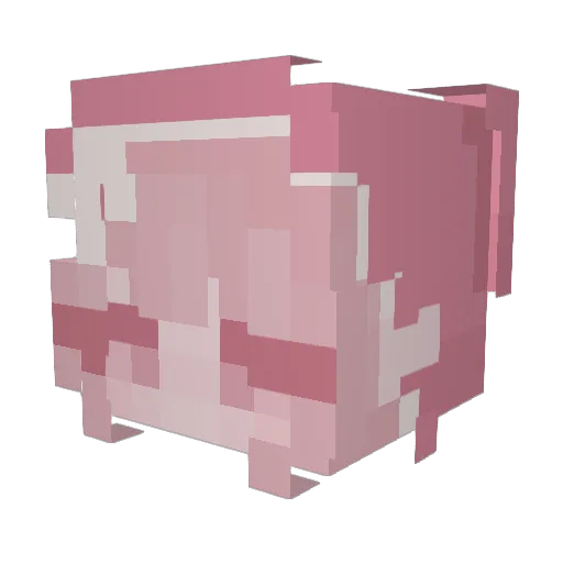 exxerces Minecraft avatar head, 3D render