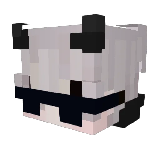 eyalthecool12 Minecraft avatar head, 3D render