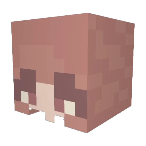eyeira Minecraft avatar head, 3D render
