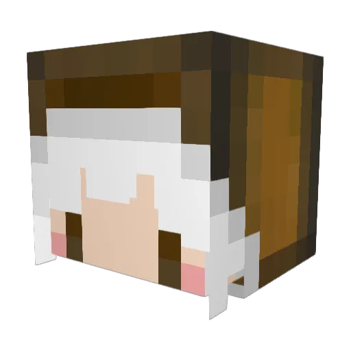 eyeq Minecraft avatar head, 3D render