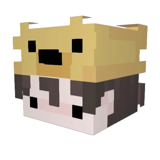 eyoie Minecraft avatar head, 3D render