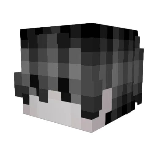 eznc Minecraft avatar head, 3D render