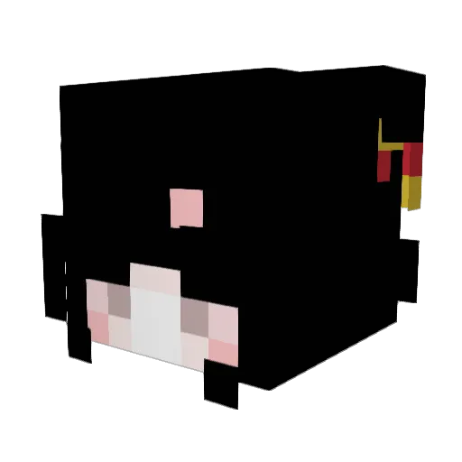 f0RSaKeN123 Minecraft avatar head, 3D render