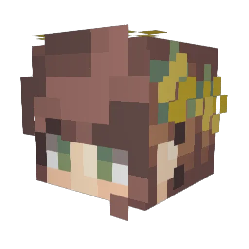 f0ggot Minecraft avatar head, 3D render