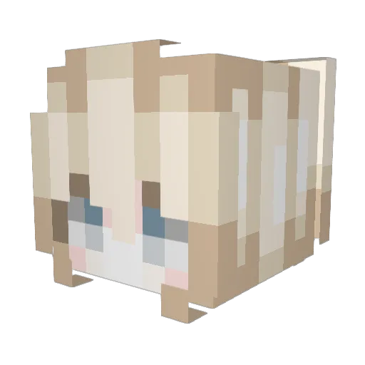 f0kkem Minecraft avatar head, 3D render