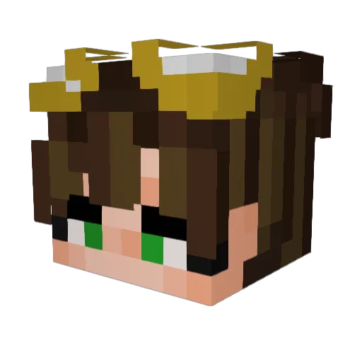 f0rgeT Minecraft avatar head, 3D render